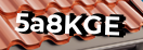 Введите код с картинки