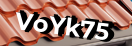 Введите код с картинки