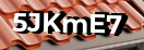 Введите код с картинки