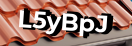 Введите код с картинки