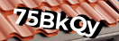 Введите код с картинки