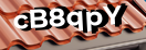 Введите код с картинки