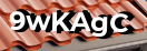 Введите код с картинки