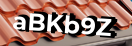 Введите код с картинки