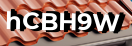 Введите код с картинки