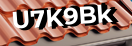 Введите код с картинки