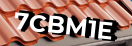 Введите код с картинки