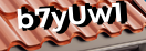 Введите код с картинки