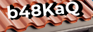 Введите код с картинки