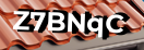 Введите код с картинки
