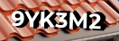 Введите код с картинки