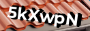 Введите код с картинки