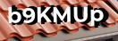 Введите код с картинки
