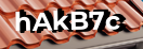 Введите код с картинки