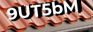 Введите код с картинки