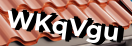 Введите код с картинки