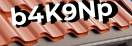 Введите код с картинки