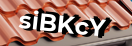 Введите код с картинки