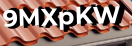 Введите код с картинки