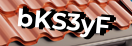 Введите код с картинки