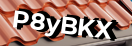 Введите код с картинки
