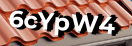 Введите код с картинки