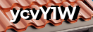 Введите код с картинки