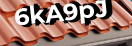 Введите код с картинки
