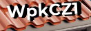 Введите код с картинки