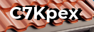 Введите код с картинки