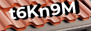Введите код с картинки