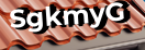 Введите код с картинки