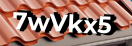 Введите код с картинки