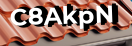 Введите код с картинки