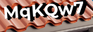 Введите код с картинки