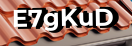 Введите код с картинки