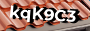Введите код с картинки