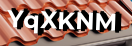 Введите код с картинки
