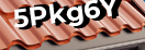 Введите код с картинки