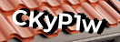 Введите код с картинки