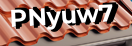 Введите код с картинки