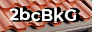 Введите код с картинки