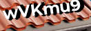 Введите код с картинки