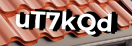Введите код с картинки