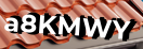 Введите код с картинки