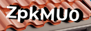 Введите код с картинки