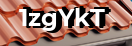 Введите код с картинки
