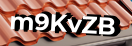Введите код с картинки