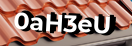Введите код с картинки