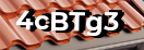 Введите код с картинки